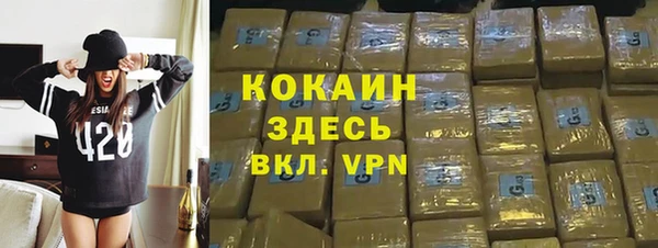 стаф Кулебаки