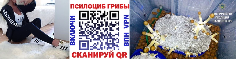 Купить закладки  Ижевск  Галлюциногенные грибы мицелий 
