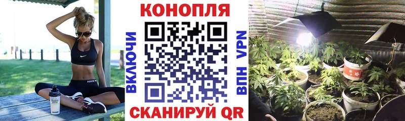 МАРИХУАНА гибрид  Купить где  Ижевск 
